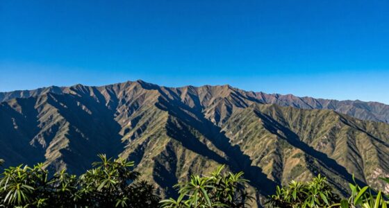 high quality professional photography