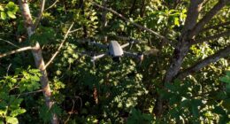 immersive agile flight experience