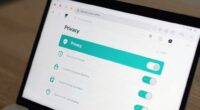 understanding browser privacy settings