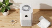 13 Best Air Purifier Large Room in 2026
