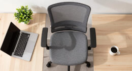 8 Best Ergonomic Office Chairs in 2026