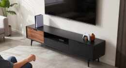 15 Best Media Consoles in 2026