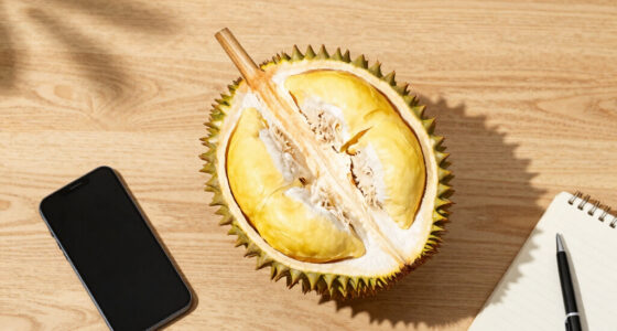 Malaysia's durian boom sours as prices plunge